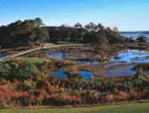 hilton head island vacation rentals